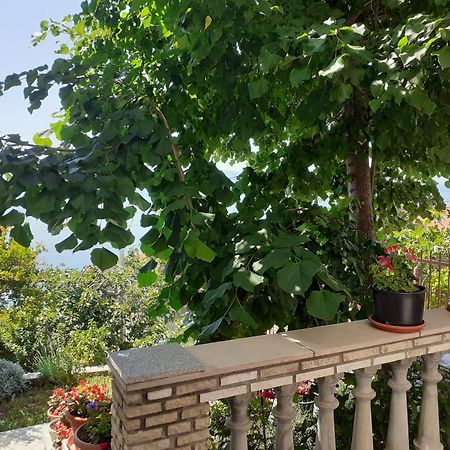 Apartmán Dada Senj  Pokoj fotografie