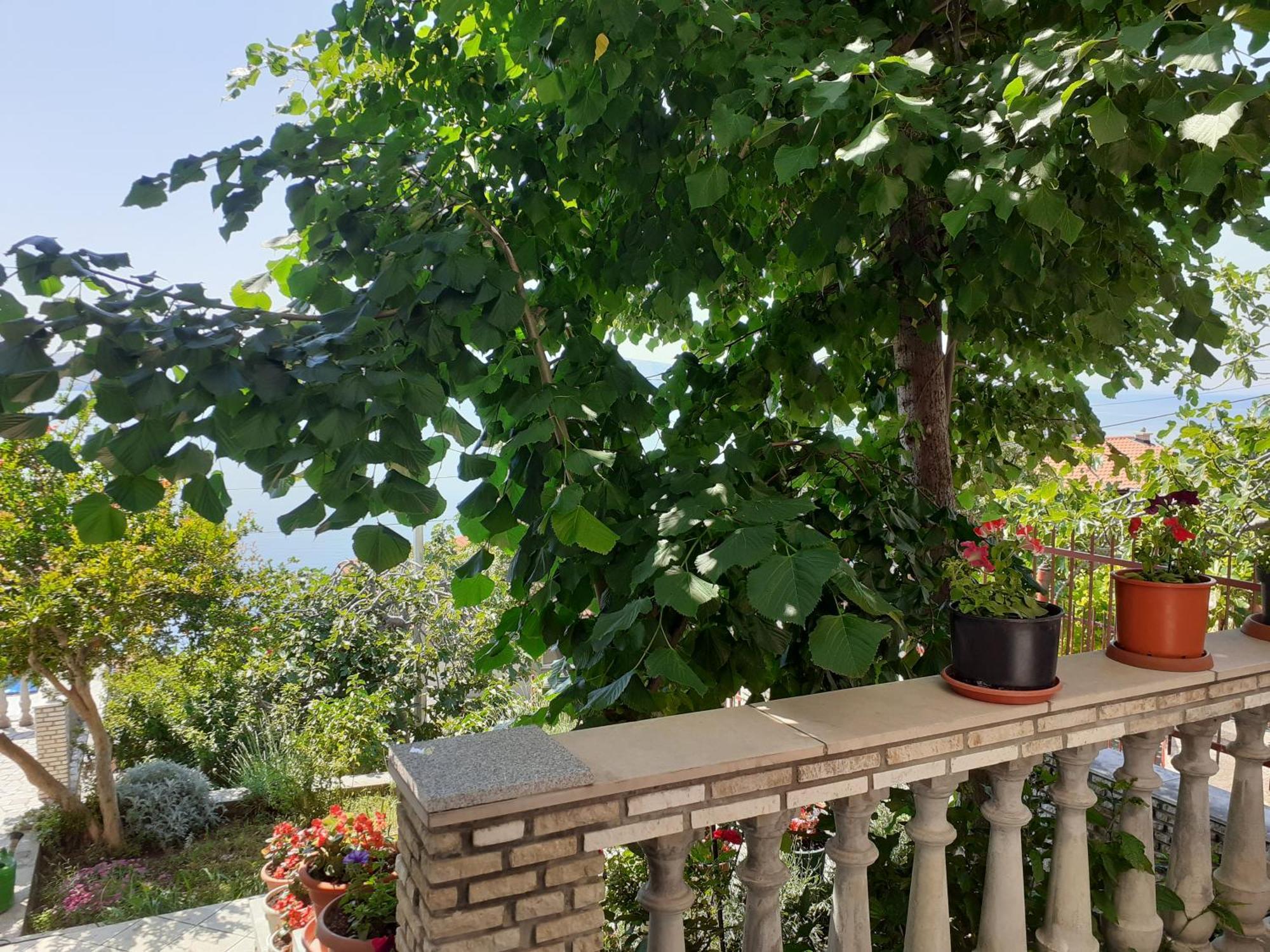 Apartmán Dada Senj  Pokoj fotografie