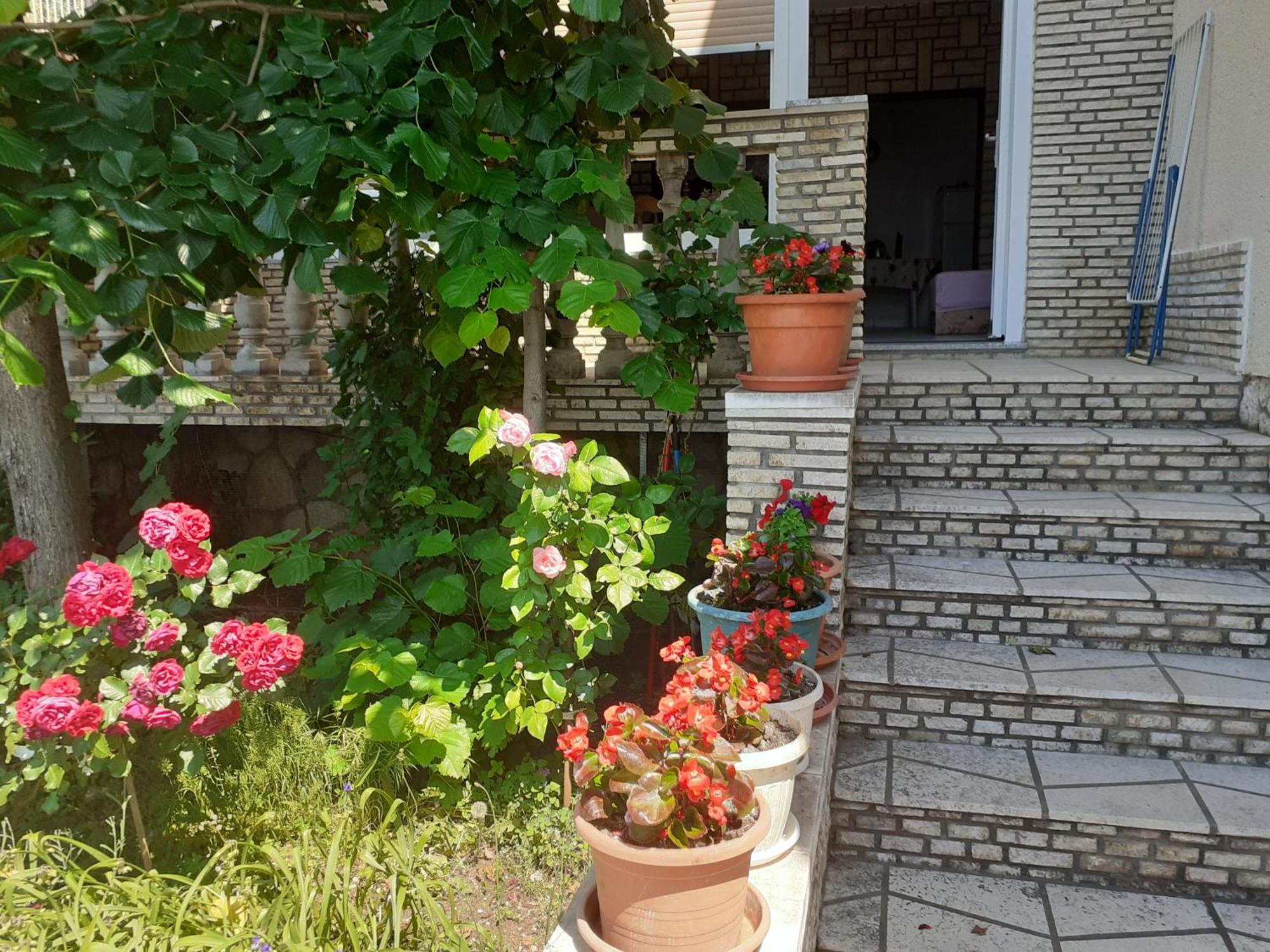 Apartmán Dada Senj  Pokoj fotografie