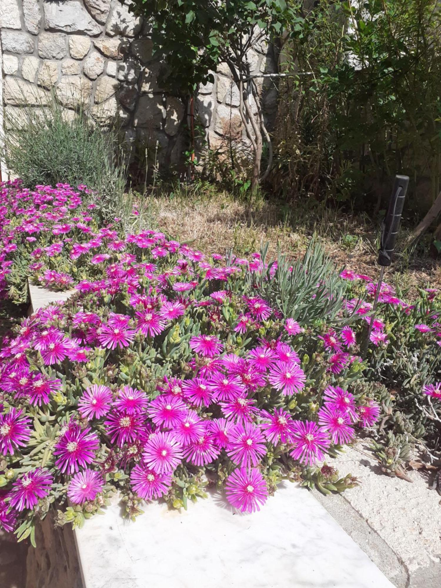 Apartmán Dada Senj  Pokoj fotografie