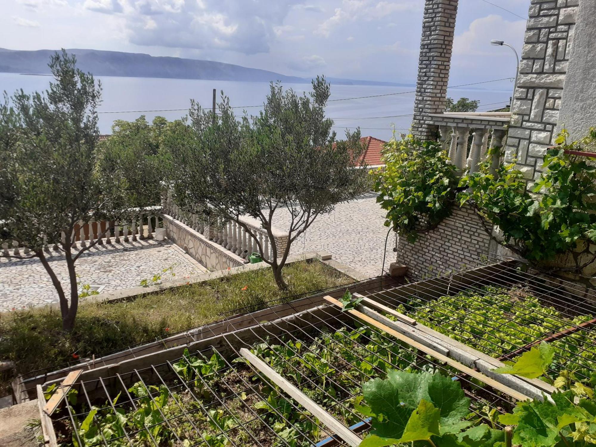 Apartmán Dada Senj  Pokoj fotografie